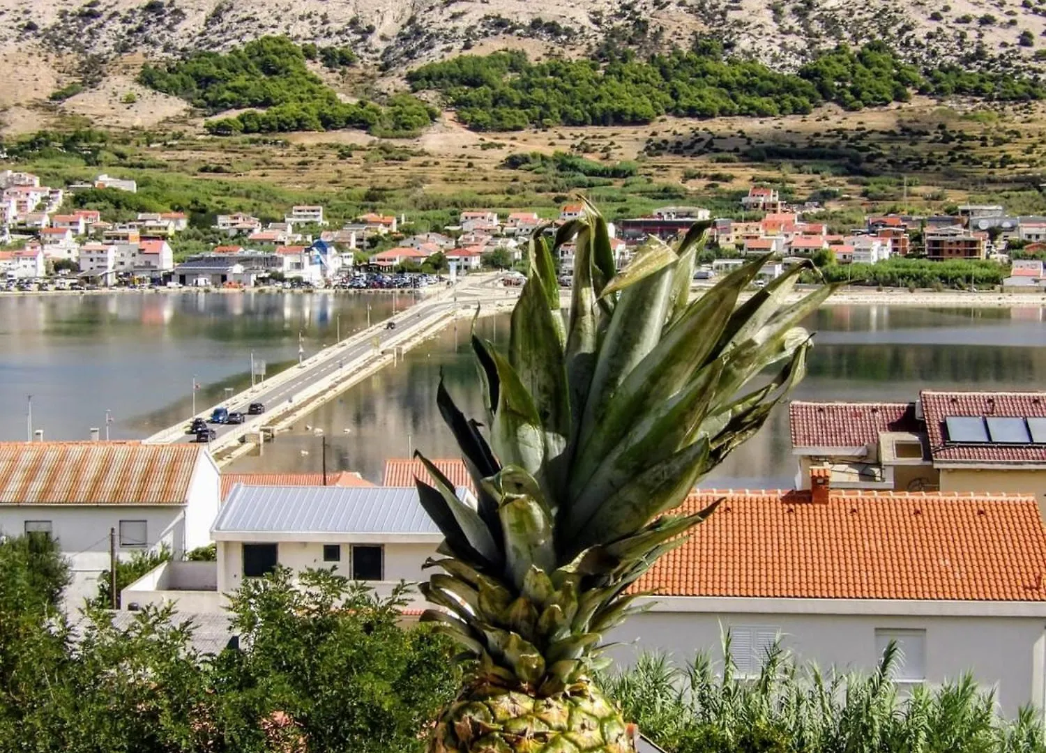 Apartments Sv. Jelena 1 Pag Town