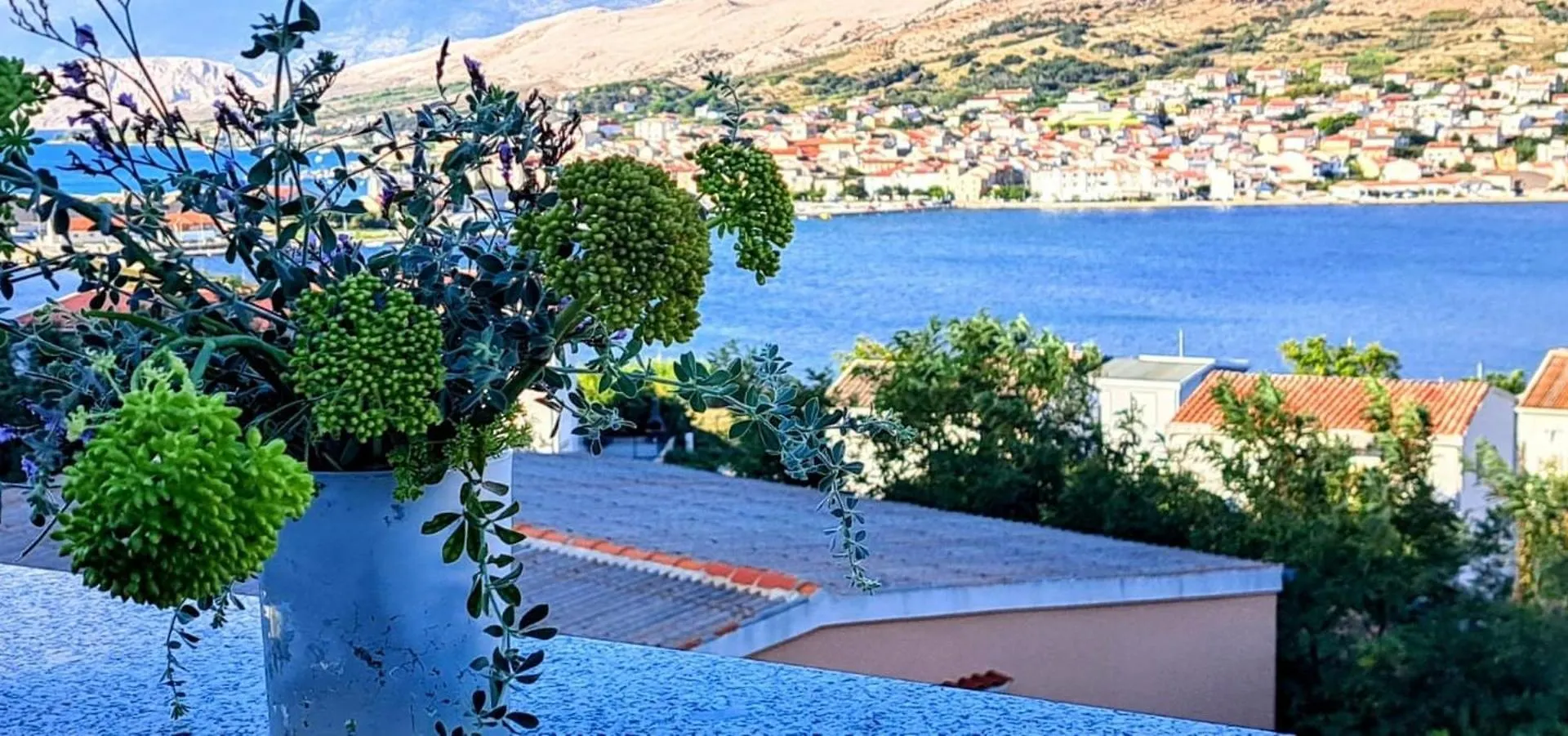 Apartments Sv. Jelena 1 Pag Town Croazia